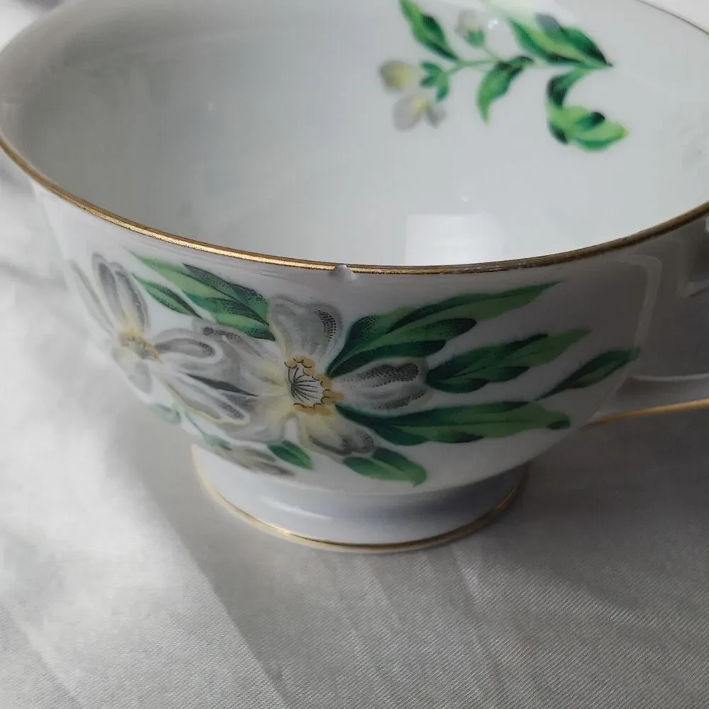 HIRA FINE CHINA JAPAN DINNER SET FOR 6 DESERT GARDENIA (42 PIECES)